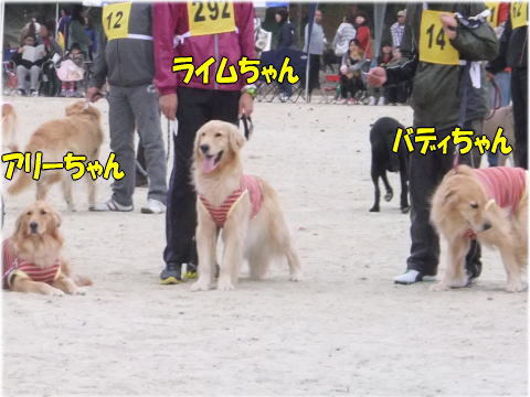 24111213.jpg